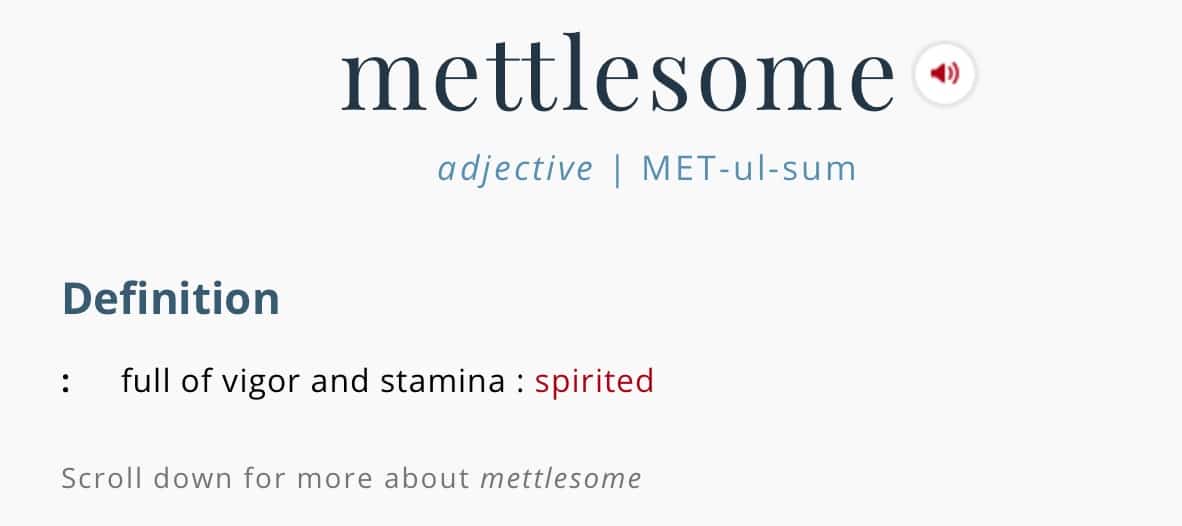 Word of The Day Mettlesome Geoff Blades